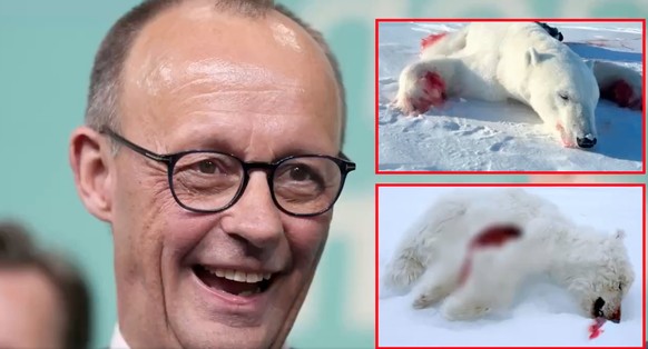 La propagande russe invente une chasse à l&#039;ours polaire impliquant Friedrich Merz