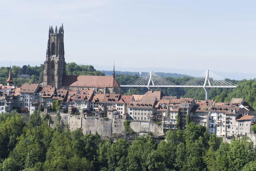 La ville de Fribourg.