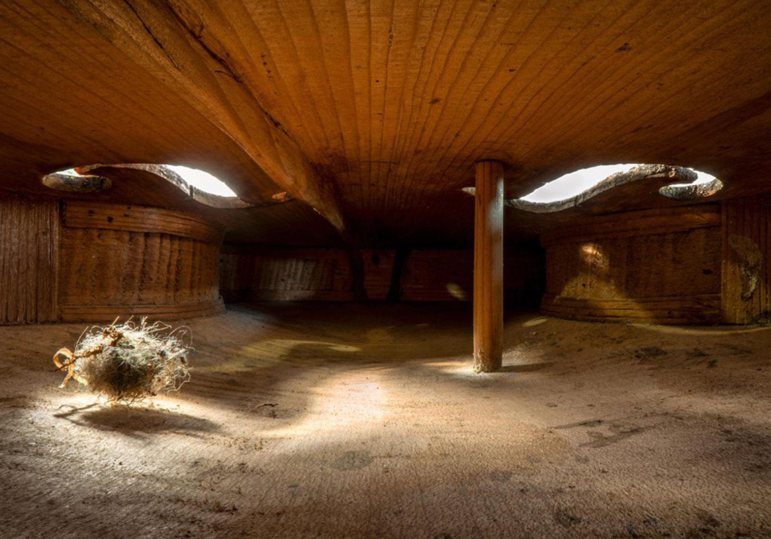 Charles Brooks Fotograf Architecture in Music explores the spaces inside some of the world&#039;s finest musical instruments. Photographed using exotic probe lenses and specialist processing technique ...