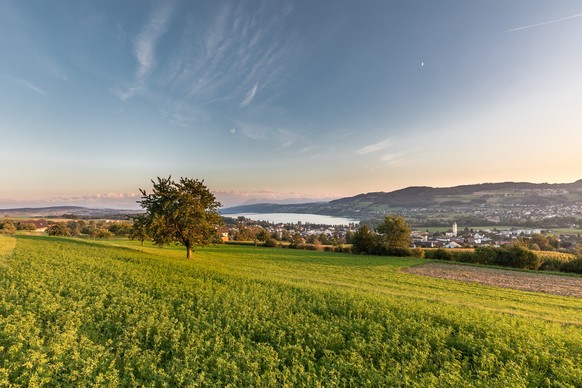Vue depuis l'Eichberg Seengen sur le lac de Hallwil.