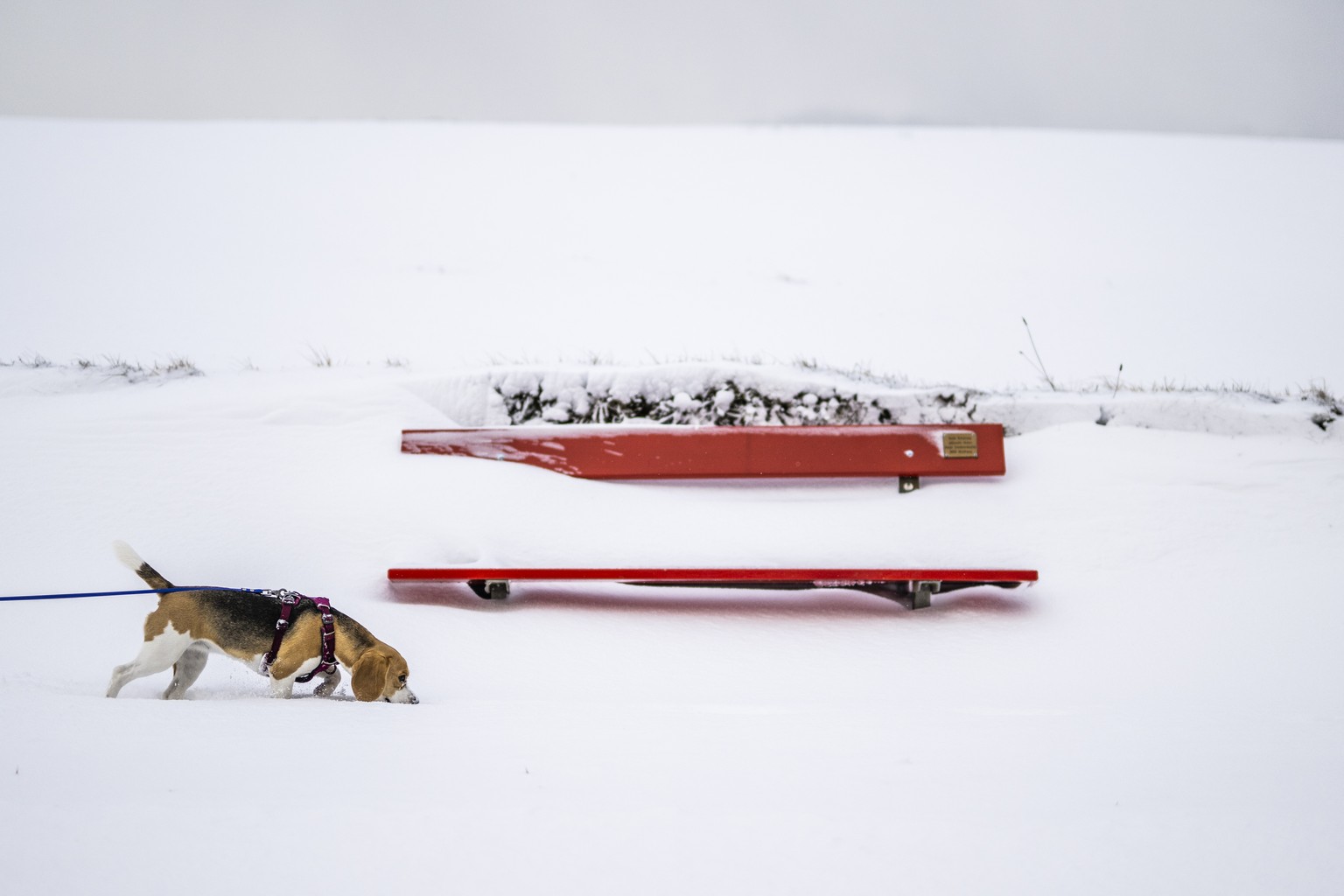 Jusqu'à un mètre de neige est tombé en montagne.