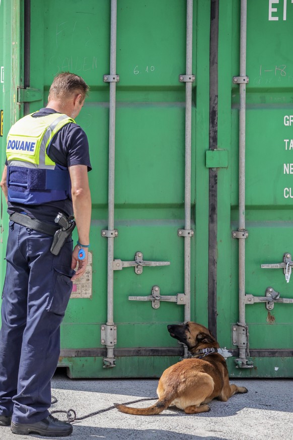 epa10741977 Customs drug detection dog Emma searches for cocaine in a shipping container as part of a presentation of seizures of cocaine for the first semester in the Port of Antwerp, in Antwerp, Bel ...