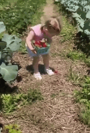 GIF animé