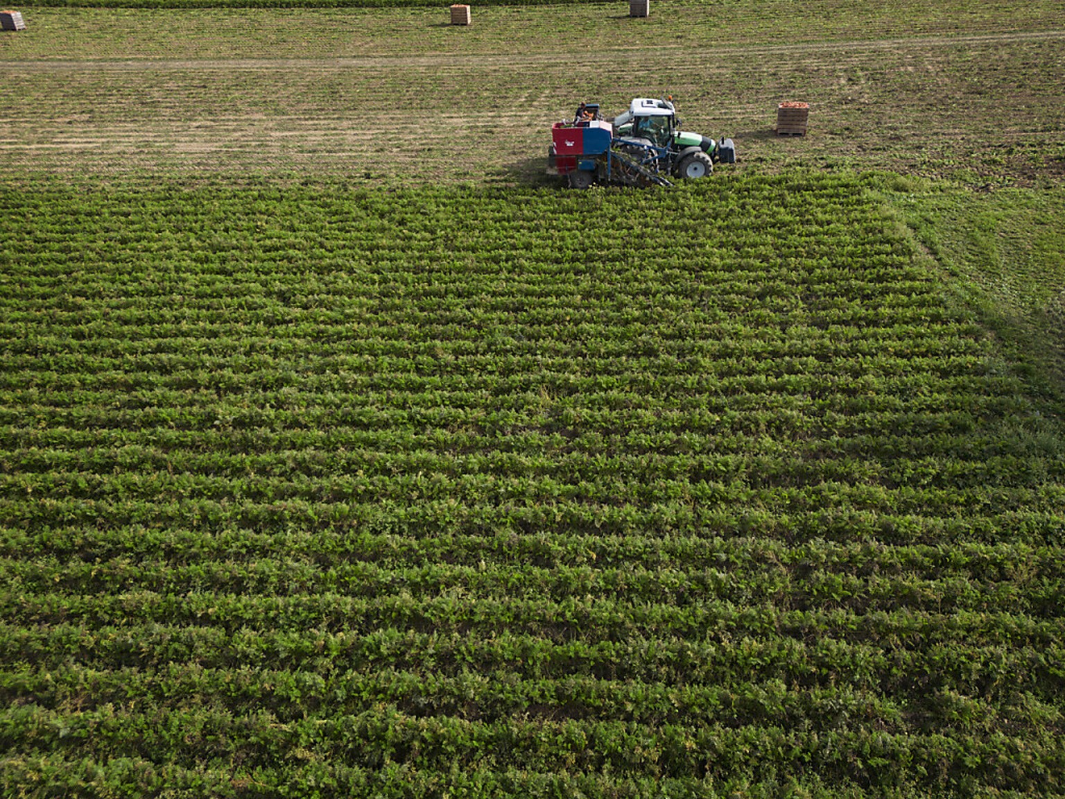 La politique agricole suisse va