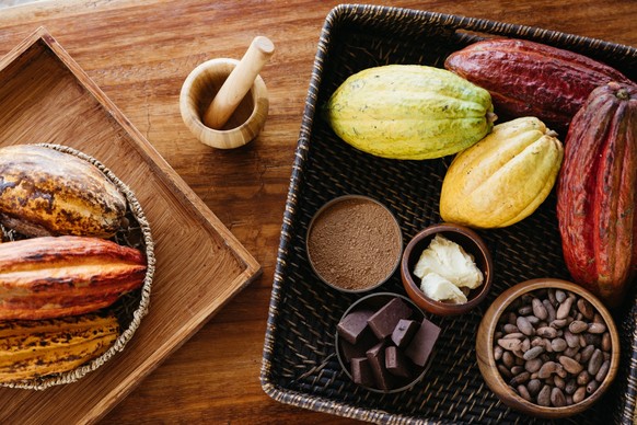 Petit scoop: le chocolat ne pousse pas en tablette.