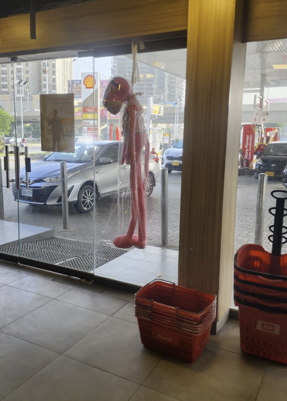 Die lustigsten Fails der Woche: Paulchen