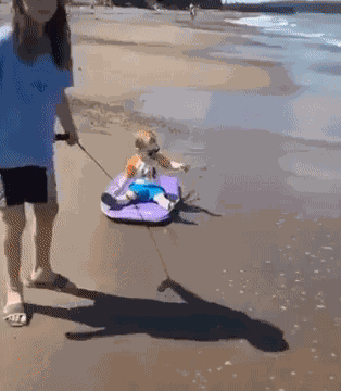 GIF animé