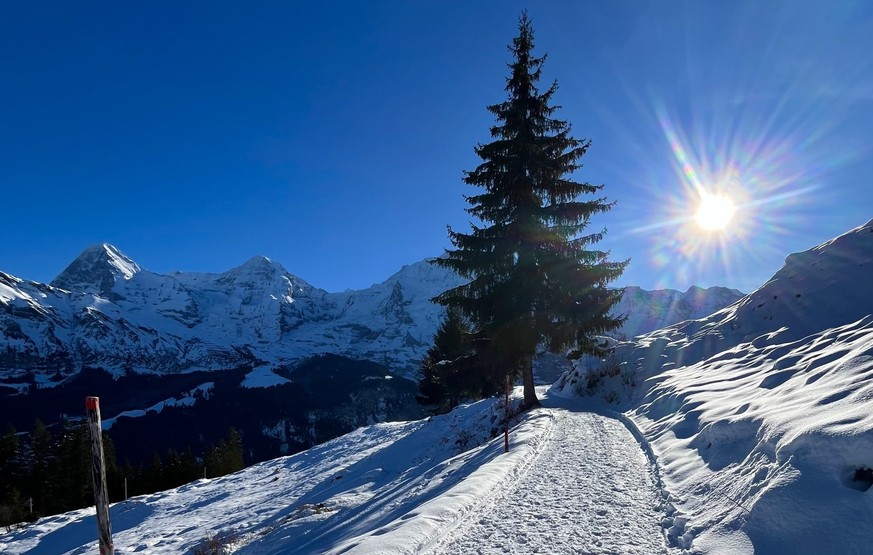 Mürren Grütschalp steilste Seilbahn der Welt Rekorde der Schweiz
