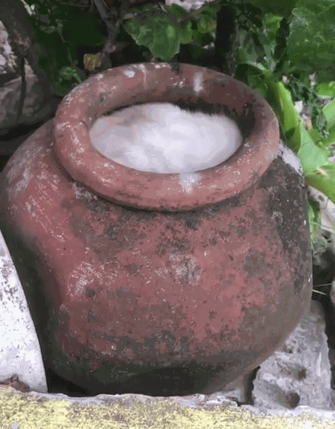GIF animé
