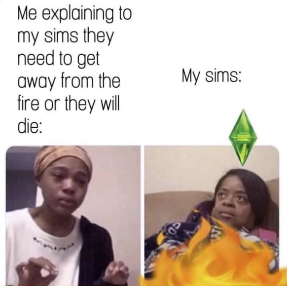 25 Jahre Sims: Die besten Memes
