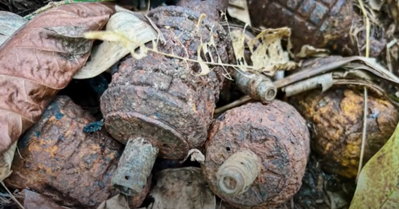 Aux Îles Salomon, les bombes de la Seconde Guerre mondiale continuent de tuer