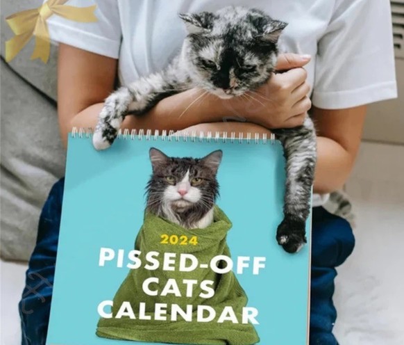 Pissed Off Cats Calendar 2024 kalender https://www.etsy.com/listing/1587441764/pissed-off-cats-calendar-2024-funny-cat?ga_order=most_relevant&amp;amp;ga_search_type=all&amp;amp;ga_view_type=gallery&am ...