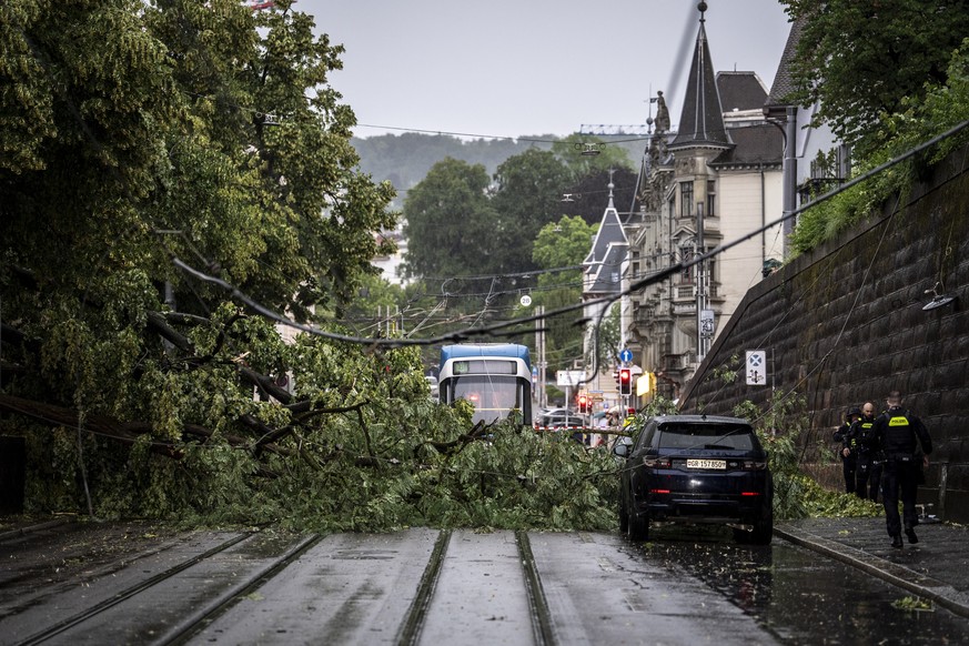 epa13050089 Police officers inspect a fallen tree that struck three cars and the VBZ overhead power lines after being struck by lightning in Zurich, Switzerland, 19 June 2026. The Swiss federal govern ...