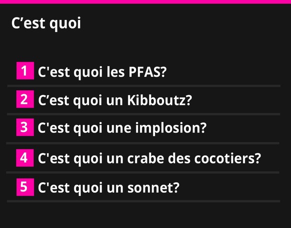 Google Year in Search 2023: C&#039;est quoi?