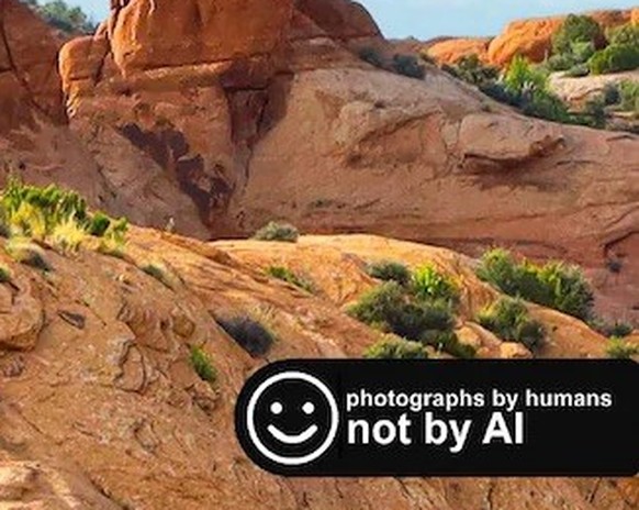 Nature&amp;#039;s Dick Pics Calendar 
https://www.etsy.com/listing/472328160/natures-dk-pics-2026-wall-calendar-funny