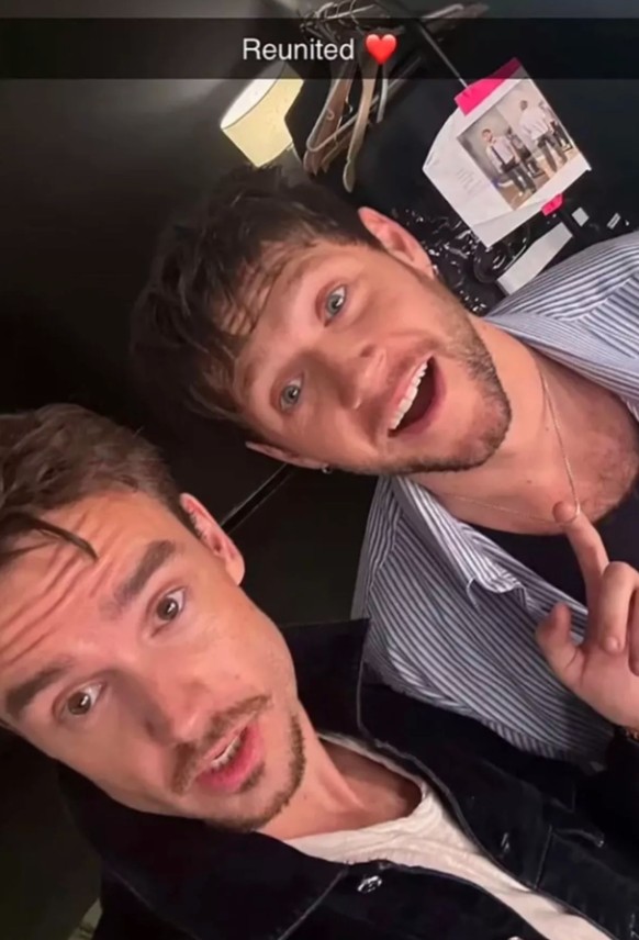 Liam Payne et Niall Horan, le 2 octobre, à l&#039;occasion du concert de ce dernier à Buenos Aires.
