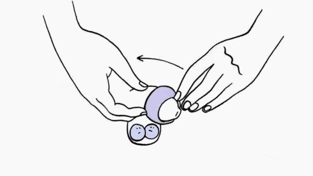 GIF animé