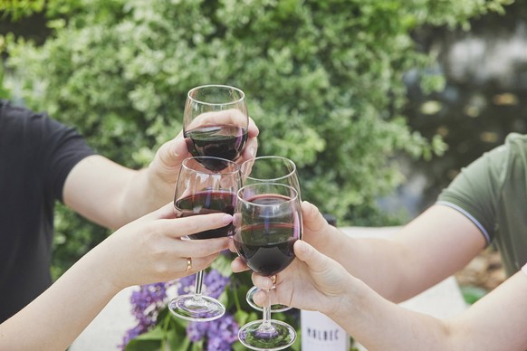 Friends drinking red wine at a picnic in Denmark Friends drinking red wine at a picnic in Denmark. Copyright: x RECORD DATE NOT STATED
