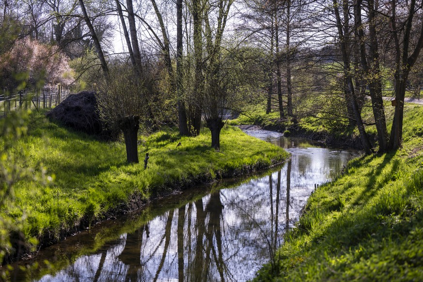 Une vue de la riviere l&#039;Aires ou des poissons morts ont ete retrouves suite a une pollution dans la riviere l&#039;Aire, ce mercredi 2 avril 2025 a Plan-les-Ouates pres de Geneve. Un episode maje ...