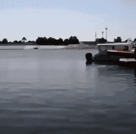 GIF animé