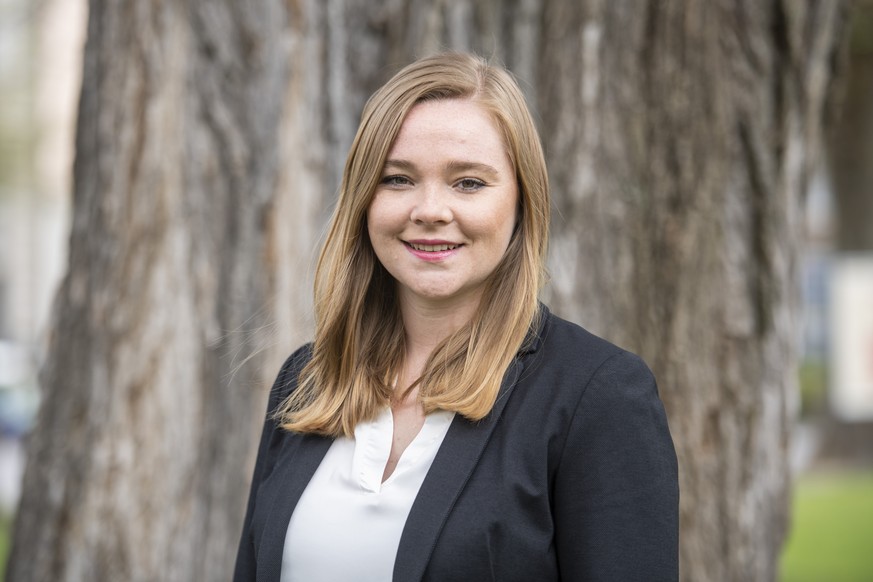 Dittli et ses impôts: il y a un éléphant dans le salon et les rideaux font diversion