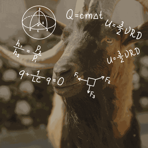 GIF animé