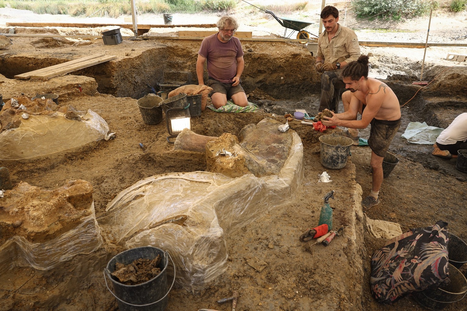 Excavators work to extract dinosaur fossilised bones at an excavation site in Angeac-sur-Charente, south-western France, on July 19, 2025. The first bones of a new species of these prehistoric giants  ...