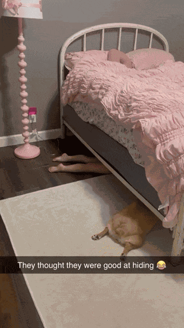 GIF animé