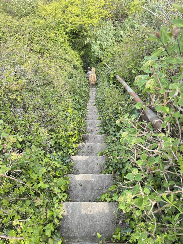 Death Stairs
https://www.facebook.com/groups/1040870849707443