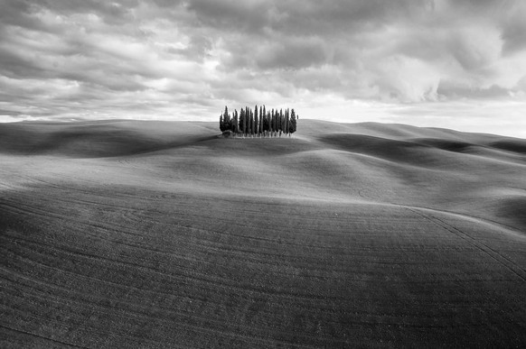World Nature Photography Awards 2021: Nature - Art, 1. Platz, Federico Testi, Italy. Landscape with trees: San Quirico d&#039;orcia, in Tuscany, Italy.