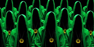 Accusés de «dérive sectaire» par un ex-député, les Verts se défendent