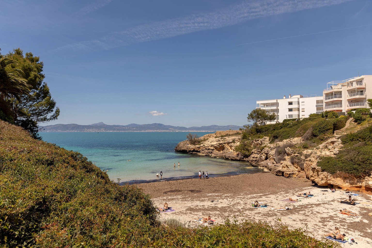 un nombre inhabituellement élevé de requins sont attirés par la côte près de Cala Blava, à Majorque