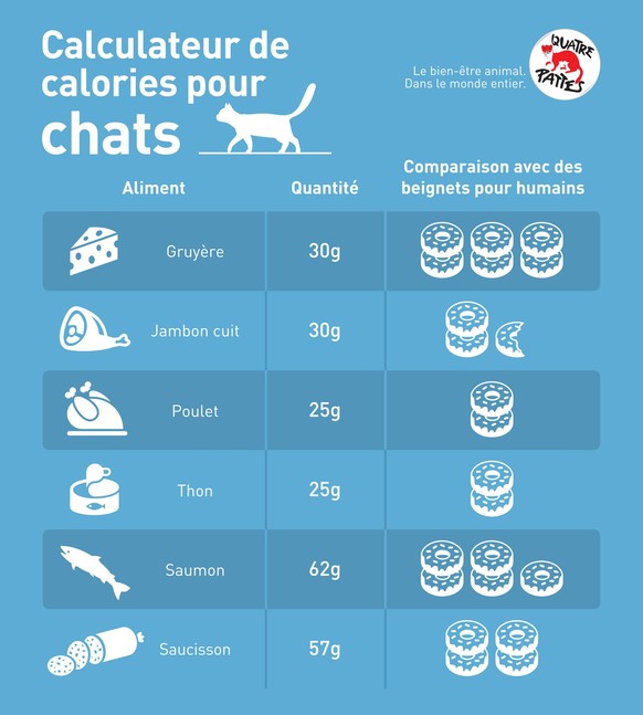 Calculateur de calories pour chats © QUATRE PATTES