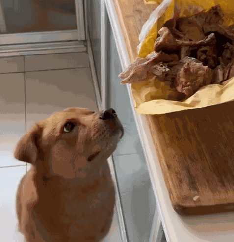 GIF animé