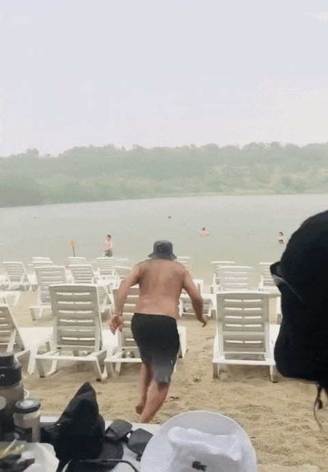 GIF animé