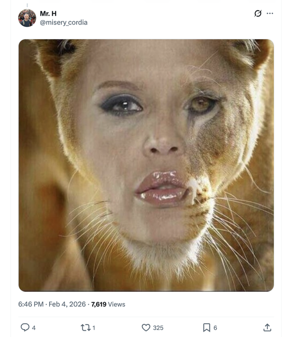 Le nouvel album de Zayn a donné lieu à un florilège de mèmes.