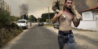 Les dessous de la photo de ce beau gosse portugais et de son mouton