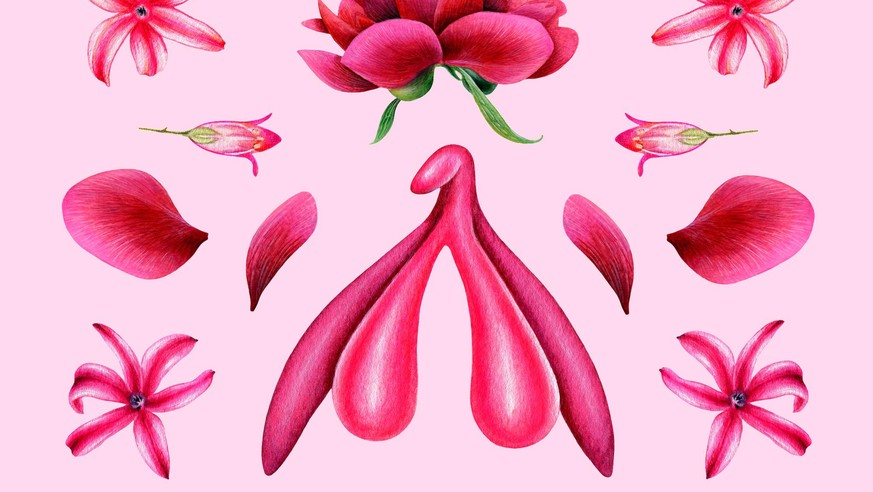 Female reproductive system. Clitoris with flowers and petals on pink background. Hand painted watercolor illustration.