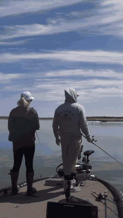 GIF animé