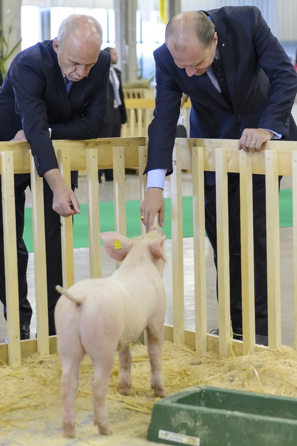 Ueli Maurer, gauche, Conseiller federal, et Philippe Leuba, Conseiller d'Etat vaudois, regardent un cochon pendant une visite des stands a l'occasion de l'ouverture du Comptoir Suisse c ...