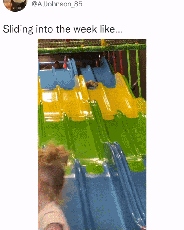 GIF animé