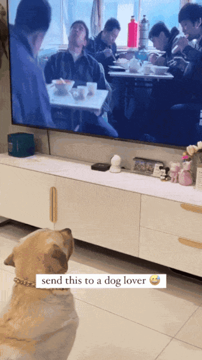 GIF animé