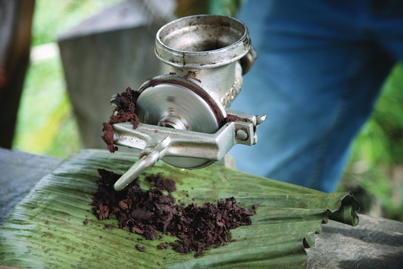 Vivre l’artisanat du cacao au plus près des fèves.