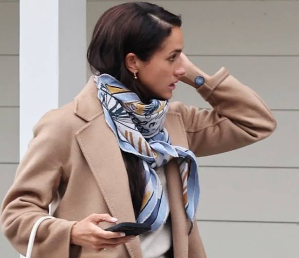 Meghan, véritable panneau publicitaire sur pattes.