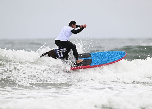 LES CHAMPIONNATS DU MONDE DE SURF CANIN en Californie