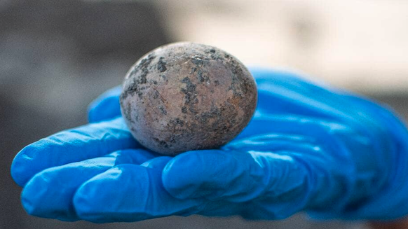 oeuf millénaire découverte archéologie Israël poule volaille accident scientifique science