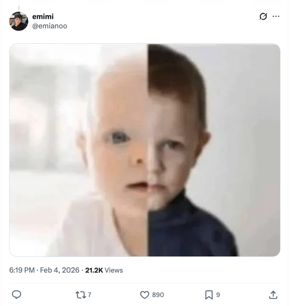 Le nouvel album de Zayn a donné lieu à un florilège de mèmes.