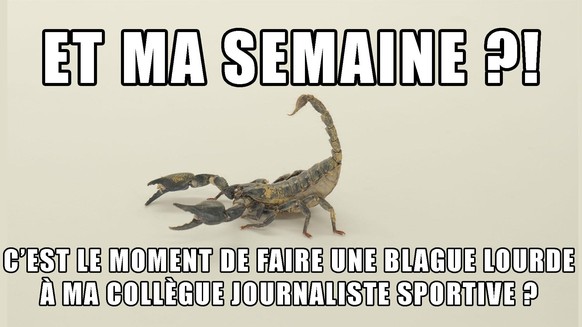 Scorpion, horoscope, journaliste sportive