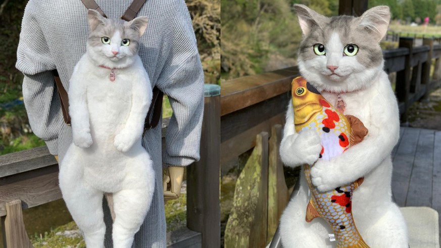 Qui Veut Un Joli Sac Facon J Ai Un Chat Empaille Dans Le Dos