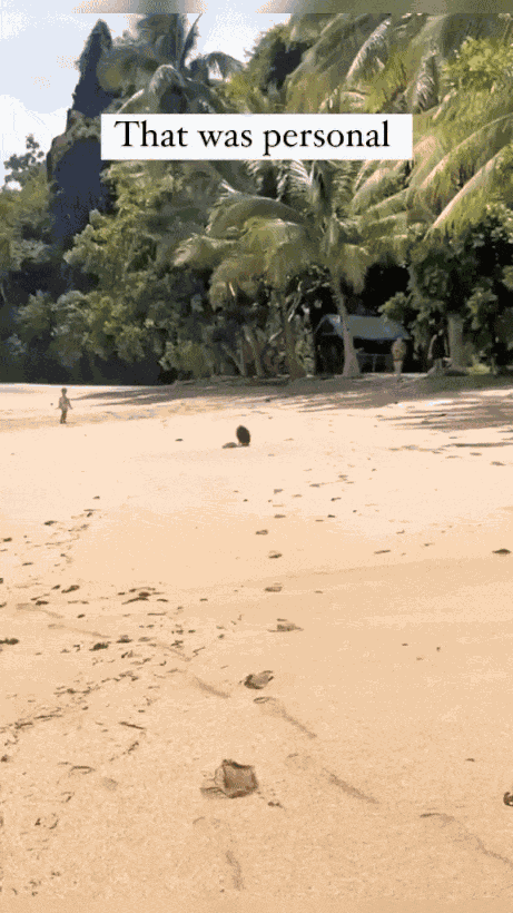 GIF animé